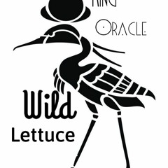 King Oracle - Wild Lettuce
