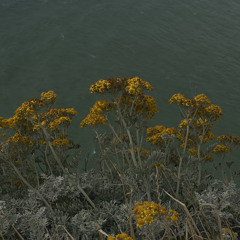 Sunday Summer Mix #4