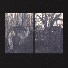 silence is a symphony - novely