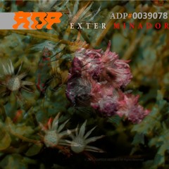 ADP Podcast #0049078 By Exterminador