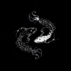 koi