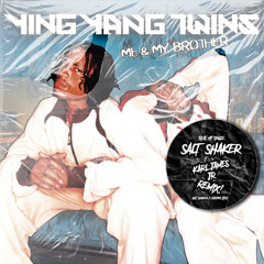Ying Yang Twins - Salt Shaker (Mashup)