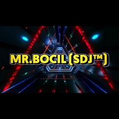 MIXTAPE NEW 2K21 EXCLUSIVE FOR SENGKANG DISC JOCKEY (Mr.Bocil SDJ™ X RullyRDJ SDJ™)
