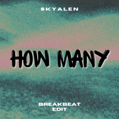 W&W - How many (Skyalen Edit) (Breakbeat)