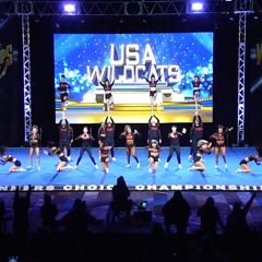 USA Wildcats LiT🔥24-25
