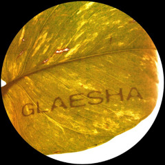 Premiere: Glaesha - Árka Will Know