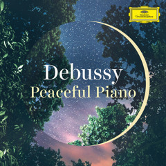 Debussy: Préludes / Book 1, L. 117: VI. Des pas sur la neige