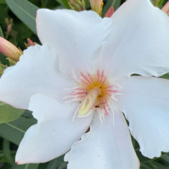 ‎⁨شروق. ياخـي حس فينـي⁩.mp3