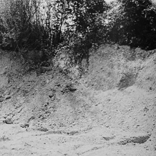 Nima Gorji - French Connection (lukaspar edit)