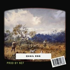 Free (Weird Griselda Type Beat 2023) "Quail Egg"