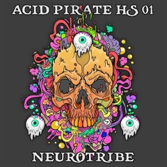 Neurotribe-ACID_PIRATE_HS01-WEB-2020-CT