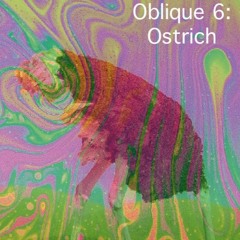 Oblique 6: Ostrich