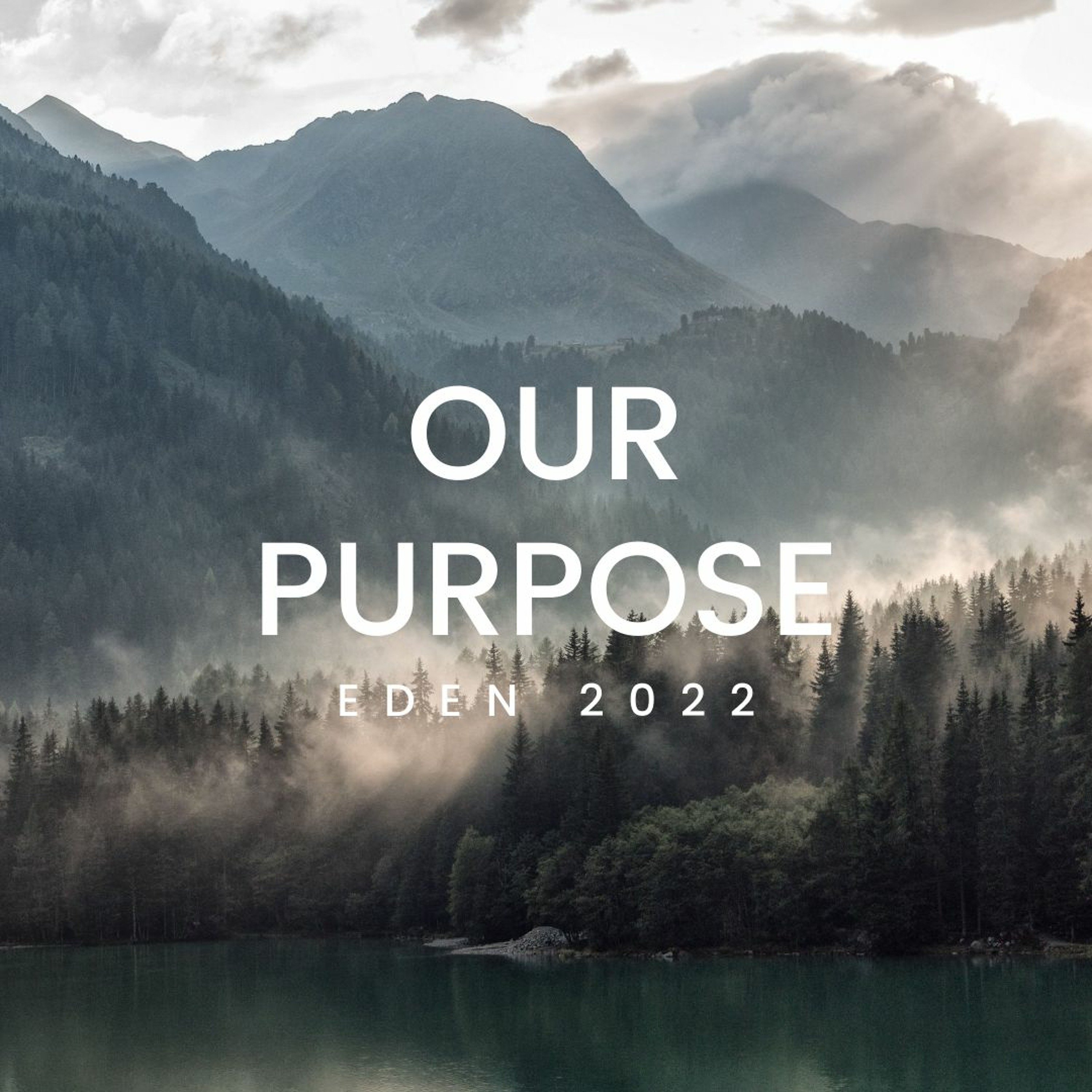 Our Purpose - Peter Botross episode artwork
