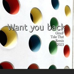 Want You Back _ Take That Remix Ginof 2023