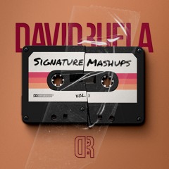 Undo x Siw Renmenm (David Ruela Mashup)