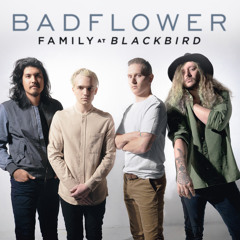 Family (Blackbird)