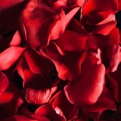 TRUE LOVE x GET UR FREAK ON (iLL Mashup)