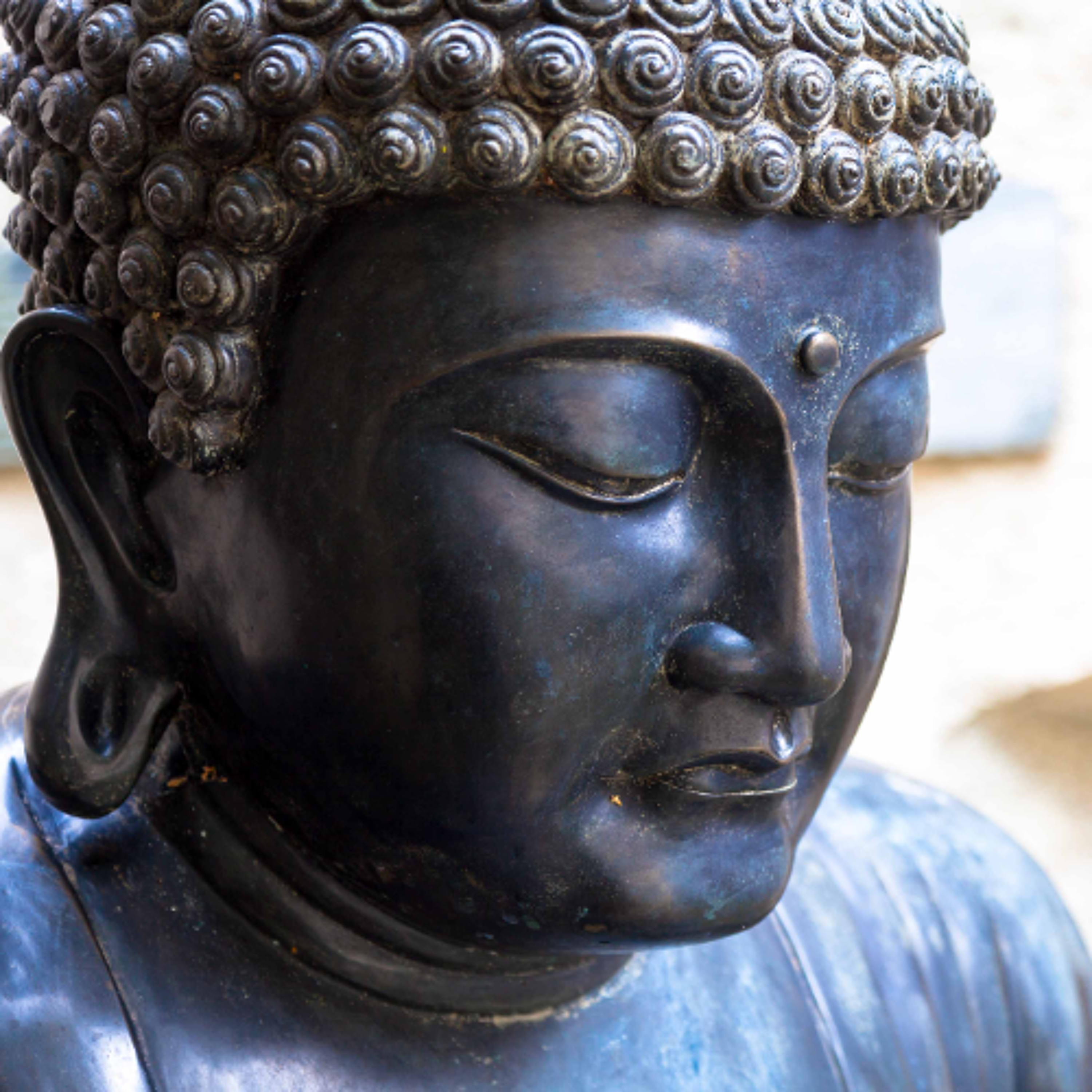 Associazione Kalyanamitta: Meditazione, Mindfulness, Buddhismo