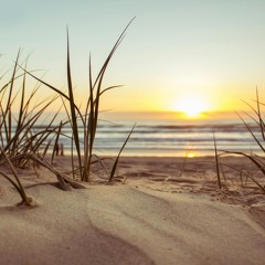 Summer at the Beach
