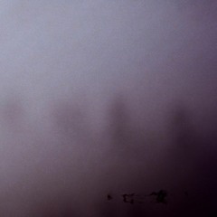 Intro & Emotionfilter