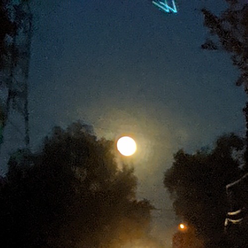 starry night - raw songwriting track