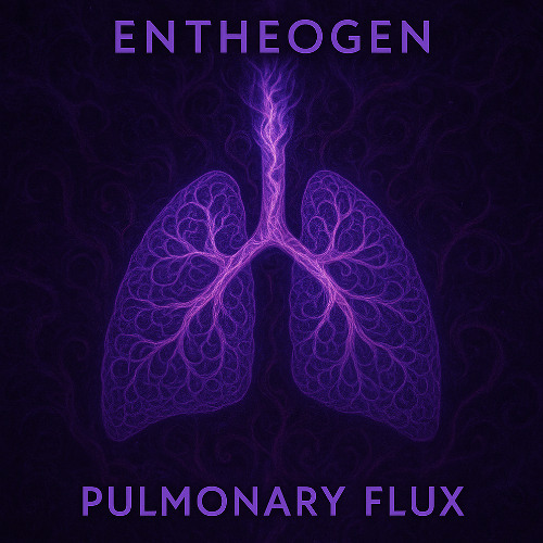 Pulmonary Flux