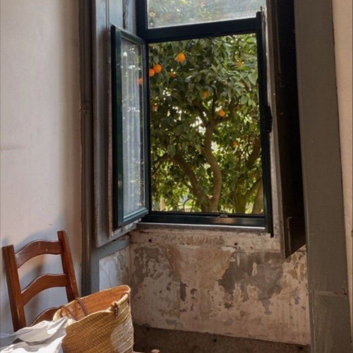 fourth of july a summer afternoon 🍊