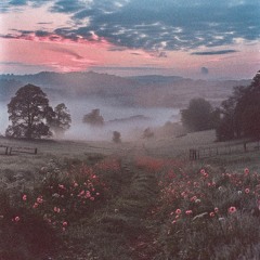 Misty Dawn