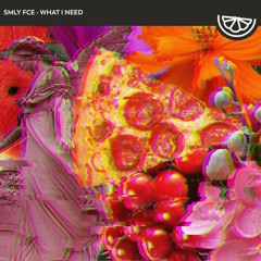 SMLY FCE - What I Need