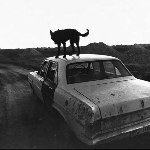 Mischpauke #76 - Meuza