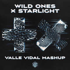 Wild Ones X Starlight (VALLE VIDAL Mashup) - Flo Rida vs. Sia vs. Martin Garrix vs. Dubvision