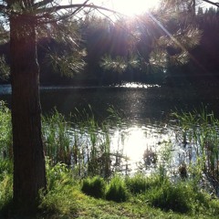 forget everything, forget everyone ft jovan (riveo)