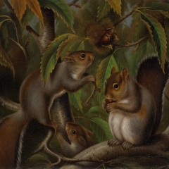 Squirrel Dance Banger 2.1