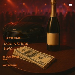 No Vibe Killers