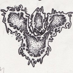 The Path To The Citadel