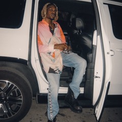 Diorvsyou - Magnolia (n9ck pourinup)