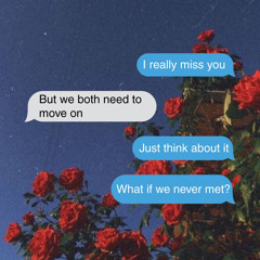 If We Never Met