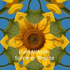 LiamAtWork - Summer Breeze