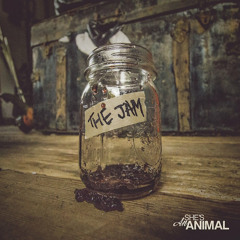 The Jam - She's an Animal