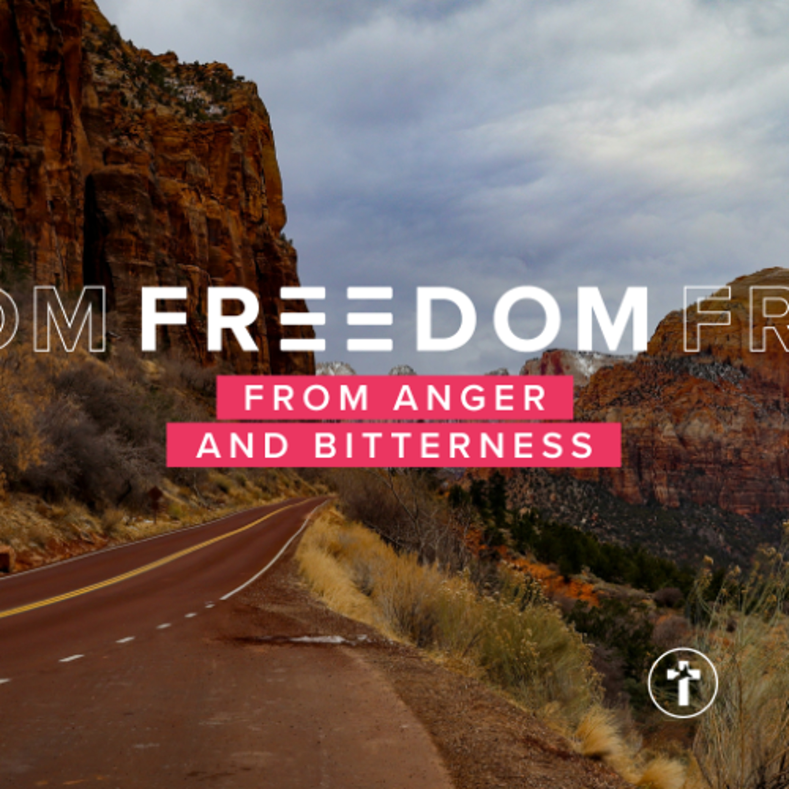 Freedom from anger and bitterness | Louis Kotzé