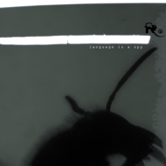 me raabenstein. open windows