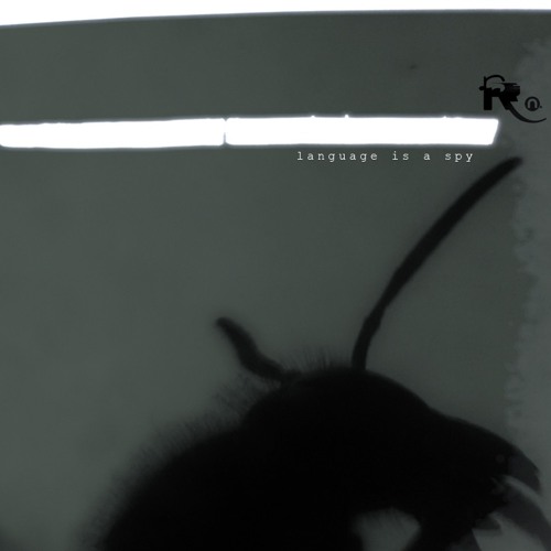 me raabenstein. open windows