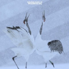 Sound Quelle - MixedBirds 004