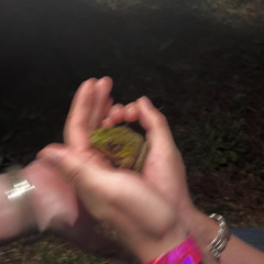 life and death of a frog