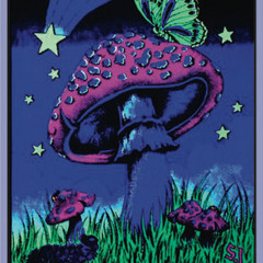 high on shrooms, freedom it is