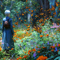 Moonflower and Monarchs