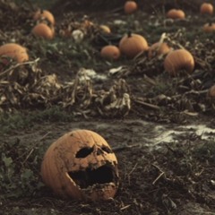 (Trick Or Treat)
