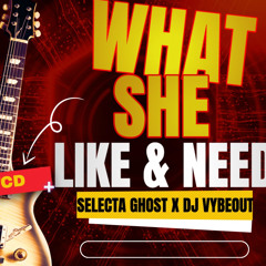 Selecta Ghost X DJ Vybeout - What She Like Pt2