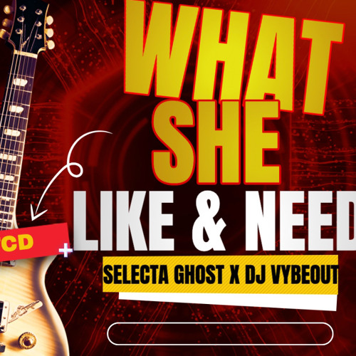 Selecta Ghost X DJ Vybeout - What She Like Pt2