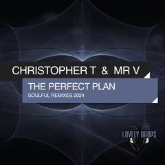 Mr. V, Christopher T - The Perfect Plan (Soulful Radio Remix 2024) [Lovely Drops]